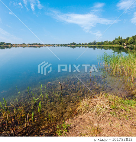 Summer lake calm rushy shore. Summer lake calm rushy shore. 101782812