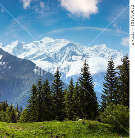 Mont Blanc mountain massif (view from Plaine Joux outskirts) 101783022