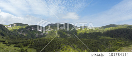 Mountain panorama view with juniper forest and snow remains on ridge in distance. Carpathian mountains, Ukraine. 101784154