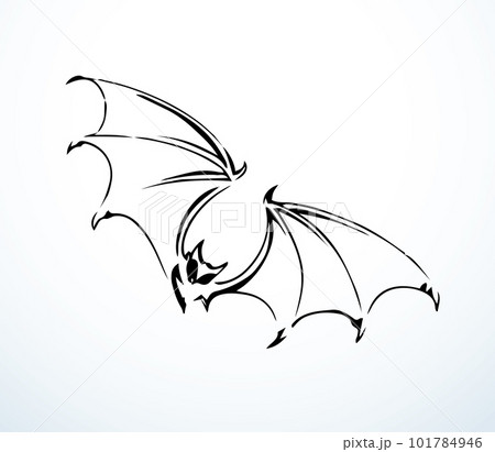 The bat is flying. Vector drawing 101784946