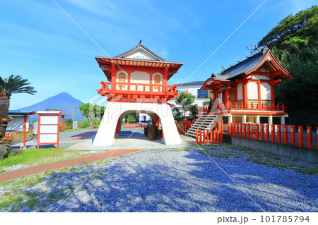 【鹿児島県】晴天の開聞岳と龍宮神社（長崎鼻灯台公園） 101785794