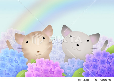 ニャーゴとゴロニャとアジサイ ニャーゴとゴロニャとアジサイ 101786076