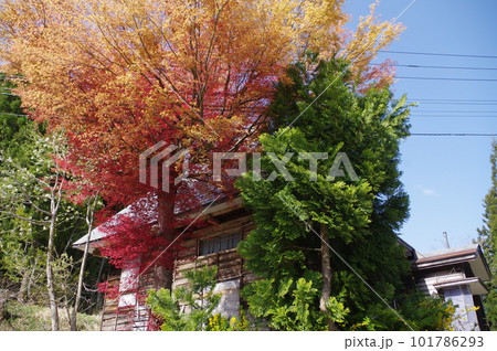 古民家暮らし 101786293