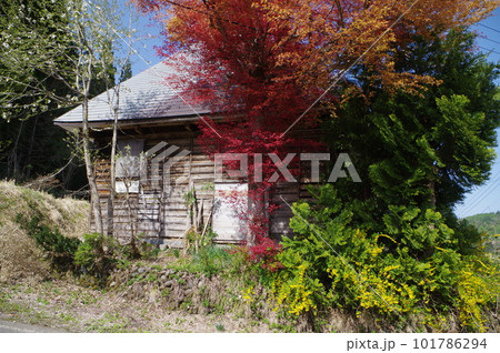 古民家暮らし 古民家暮らし 101786294