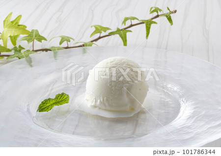 冷たくて美味しいバニラアイス 101786344