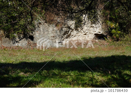 史跡東勝寺跡 史跡東勝寺跡 101786430