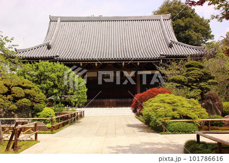 観泉寺の本堂 観泉寺の本堂 101786616