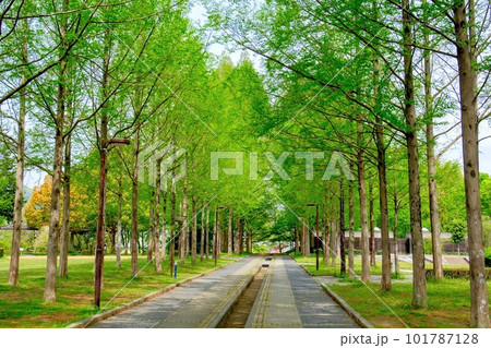 日本へそ公園 日本へそ公園 101787128