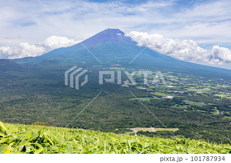 竜ヶ岳から見る富士山と青木ヶ原の樹海 101787934