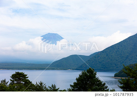 中之倉峠から見る富士山 中之倉峠から見る富士山 101787935