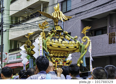 浅草 三社祭 お神輿の渡御 町内神輿連合渡御(ちょうないみこしれんごうとぎょ) 浅草 三社祭 お神輿の渡御 町内神輿連合渡御(ちょうないみこしれんごうとぎょ) 101788329