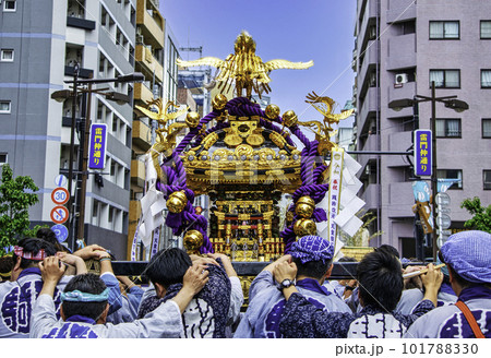浅草 三社祭 お神輿の渡御 町内神輿連合渡御(ちょうないみこしれんごうとぎょ) 浅草 三社祭 お神輿の渡御 町内神輿連合渡御(ちょうないみこしれんごうとぎょ) 101788330