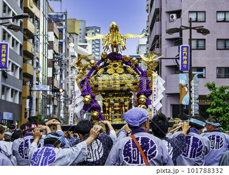 浅草 三社祭 お神輿の渡御 町内神輿連合渡御(ちょうないみこしれんごうとぎょ) 浅草 三社祭 お神輿の渡御 町内神輿連合渡御(ちょうないみこしれんごうとぎょ) 101788332