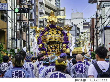 浅草　三社祭　お神輿の渡御　町内神輿連合渡御(ちょうないみこしれんごうとぎょ) 101788333