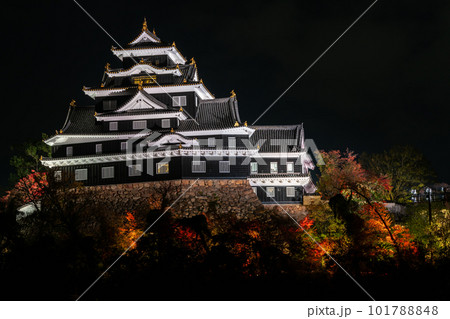 「令和の大改修」後の岡山城紅葉ライトアップ 「令和の大改修」後の岡山城紅葉ライトアップ 101788848