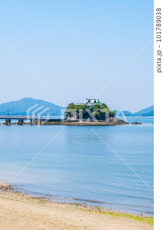 津嶋神社(本殿) 津嶋神社(本殿) 101789038