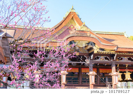 梅の北野天満宮、寺社 101789127