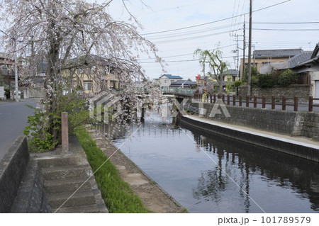 歴史的建造物が多く残る佐原の街並み 歴史的建造物が多く残る佐原の街並み 101789579