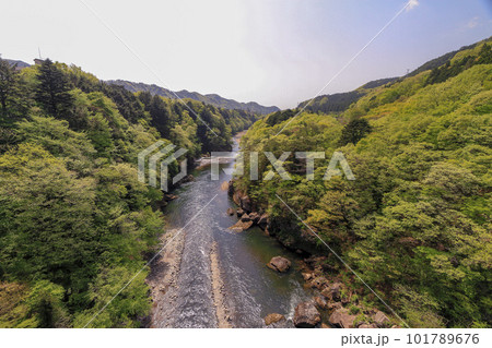 鬼怒楯岩大吊橋 101789676