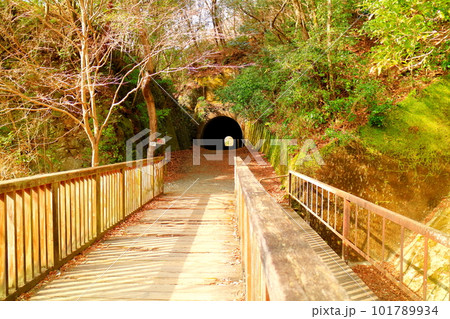 旧福知山線廃線跡のトンネル 長尾第二隧道 旧福知山線廃線跡のトンネル 長尾第二隧道 101789934
