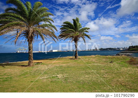 沖縄県那覇市三重城港 沖縄県那覇市三重城港 101790290