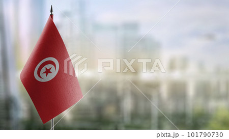 Small flags of the Tunisia on an abstract blurry background 101790730
