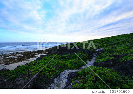 沖縄県糸満ひめゆり学徒散華の跡周辺の風景 101791600