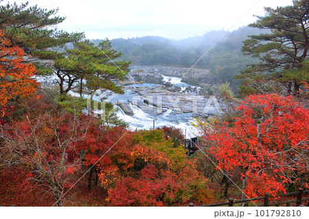 秋の曽木の滝 秋の曽木の滝 101792810