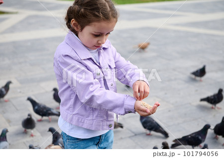 Caucasian adorable little child girl feeding rock doves in the city square. The concept of childhood, care and love for animals 101794056