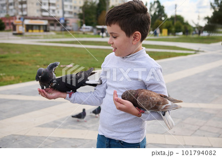 Lovely happy kind pre teen boy, Caucasian child 10 years old, holding rock doves in hands and feeding them with bird seeds in the park square. Love and care for animals concept. Feral doves Lovely happy kind pre teen boy, Caucasian child 10 years old, holding rock doves in hands and feeding them with bird seeds in the park square. Love and care for animals concept. Feral doves 101794082