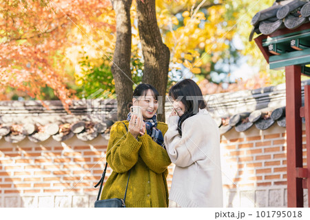 旅先でスマホを見る女性 旅先でスマホを見る女性 101795018