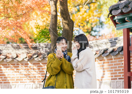 旅先でスマホを見る女性 101795019