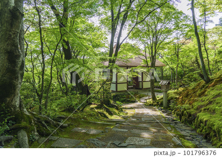 新緑に包まれた常寂光寺　末吉坂から見える仁王門（京都嵯峨野） 101796376