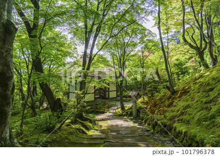 新緑に包まれた常寂光寺　末吉坂から見える仁王門（京都嵯峨野） 101796378