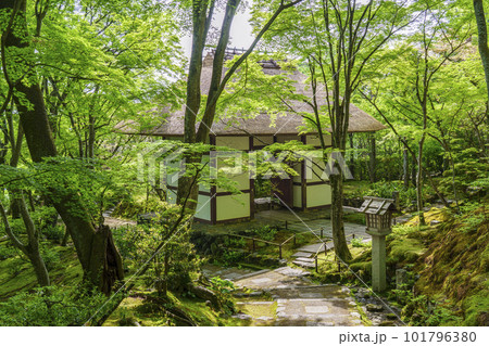 新緑に包まれた常寂光寺　末吉坂から見える仁王門（京都嵯峨野） 101796380