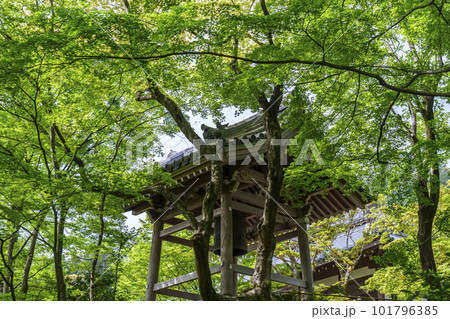 新緑に包まれた常寂光寺　末吉坂から見える鐘楼（京都嵯峨野） 101796385