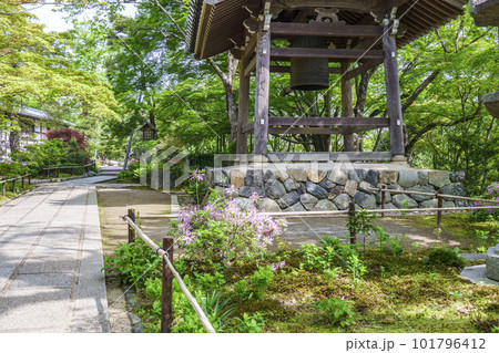 新緑に包まれた常寂光寺　鐘楼（京都嵯峨野） 101796412