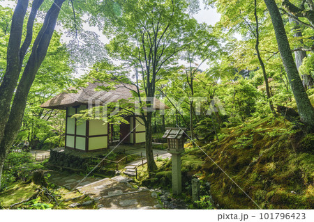 新緑に包まれた常寂光寺　末吉坂から見える仁王門（京都嵯峨野） 101796423