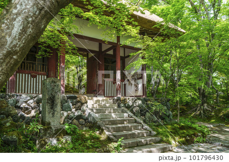 新緑に包まれた常寂光寺　仁王門（京都嵯峨野） 101796430