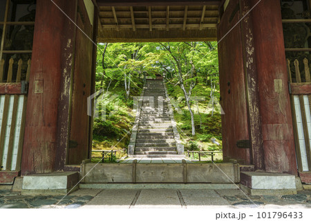 新緑に包まれた常寂光寺　仁王門（京都嵯峨野） 101796433