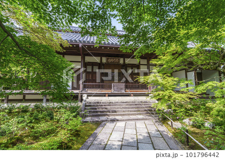 鮮やかな青紅葉に包まれた常寂光寺　本堂（京都嵯峨野） 101796442