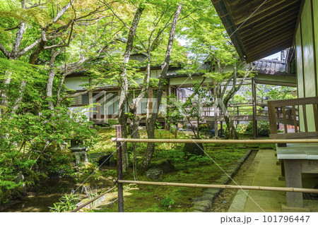 新緑に包まれた常寂光寺　書院前庭（京都嵯峨野） 101796447