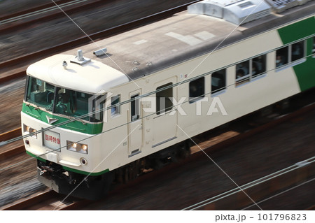 臨時特急あしかが大藤まつり（185系電車） 101796823