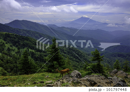 大菩薩嶺登山道から望む富士山遠望 101797448