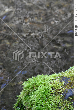 沢名川 渓流の流れ【栃木県那須塩原市】 沢名川 渓流の流れ【栃木県那須塩原市】 101797622