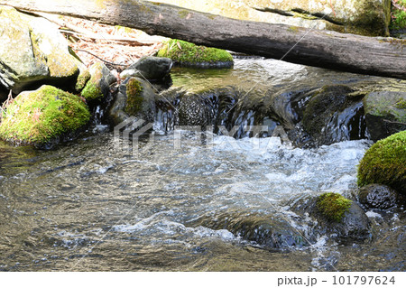 沢名川 渓流の流れ【栃木県那須塩原市】 101797624
