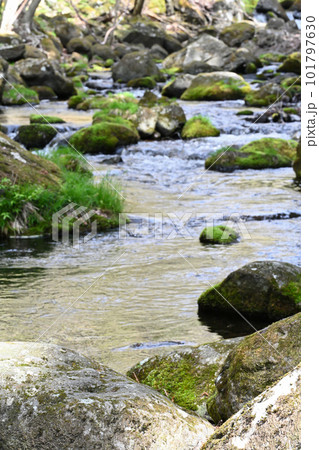 沢名川 渓流の流れ【栃木県那須塩原市】 沢名川 渓流の流れ【栃木県那須塩原市】 101797630