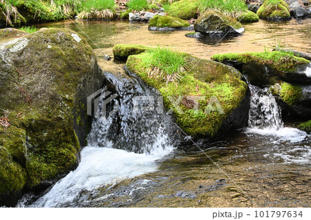沢名川 渓流の流れ【栃木県那須塩原市】 101797634