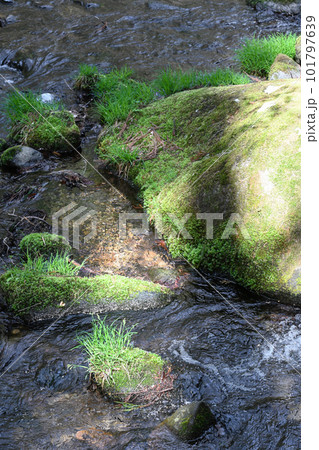 沢名川 渓流の流れ【栃木県那須塩原市】 沢名川 渓流の流れ【栃木県那須塩原市】 101797639