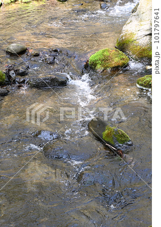 沢名川 渓流の流れ【栃木県那須塩原市】 101797641